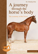 A Journey Through the Horse's Body