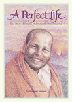 A Perfect Life