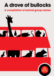 A Drove of Bullocks