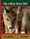 Take a Winter Nature Walk