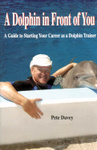A Dolphin in Front of You