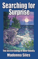 Searching for Surprise
