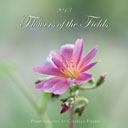 2013 Flowers of the Fields Calendar