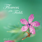 2012 Flowers of the Fields Calendar