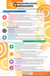 40 Developmental Assets Poster / Adolescent
