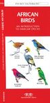 African Birds