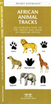 African Animal Tracks