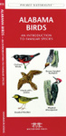 Alabama Birds