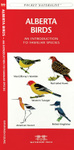 Alberta Birds