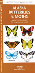 Alaska Butterflies & Moths