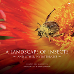 A Landscape of Insects