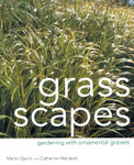 Grass Scapes