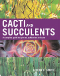 Cacti and Succulents