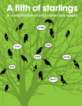 A Filth of Starlings