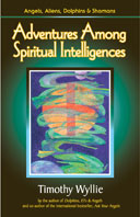 Adventures Among Spiritual Intelligences