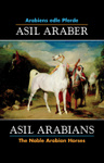 Asil Araber/Asil Arabians VI