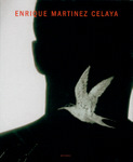 Enrique Mart&iacute;nez Celaya