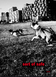 Sort of Safe