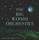 The Big Woods Orchestra Image