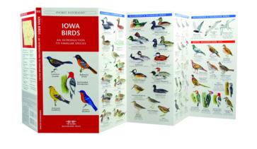 Iowa Birds Pictures