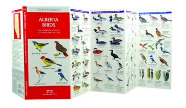 Alberta Birds Pictures