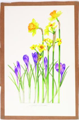 A-Z of Flower PortraitsA-Z of Flower Portraits | Alt 3