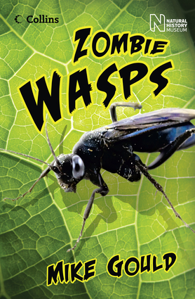 Zombie Wasps