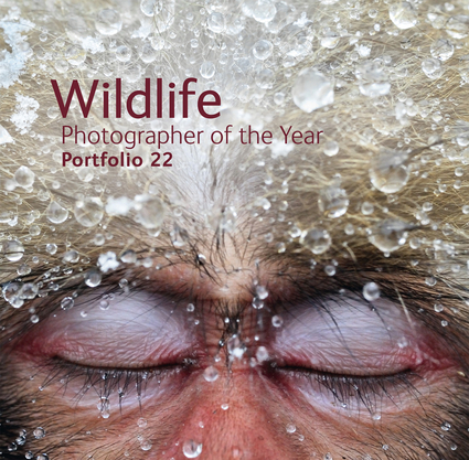 Wildlife Photographer of the Year: Portfolio 22