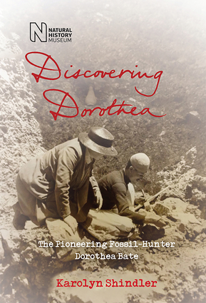 Discovering Dorothea