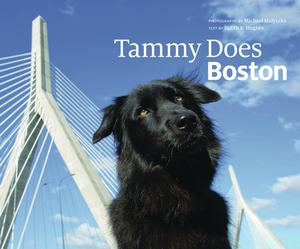 Tammy Does Boston