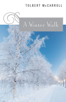 A Winter Walk