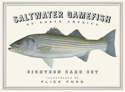 Saltwater Gamefish Of North America Eighteen Card Set