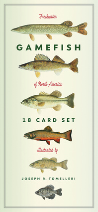 Freshwater Gamefish Of North America Eighteen Card Set