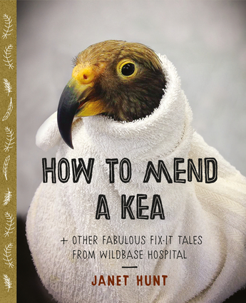 How to Mend a Kea