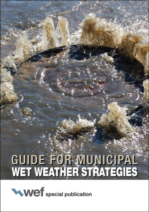 Guide for Municipal Wet Weather Strategies
