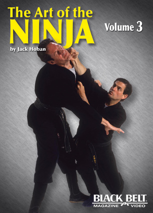 Art of the Ninja, Vol. 3