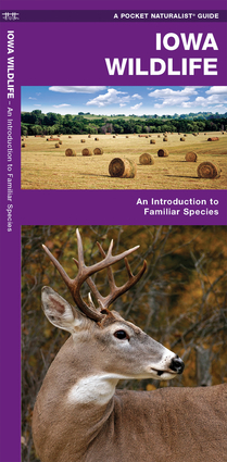 Downloads Iowa Wildlife: An Introduction to Familiar Species (A Pocket ...