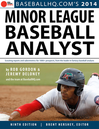 2014 Minor League Baseball Analyst