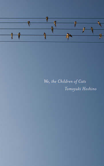 We, the Children of Cats