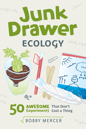 Junk Drawer Ecology