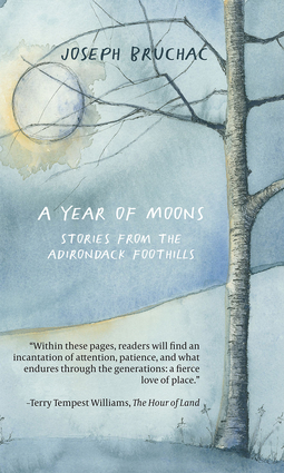 A Year of Moons