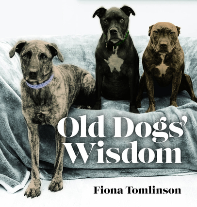 Old Dogs Wisdom
