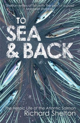 To Sea & Back To Sea & Back