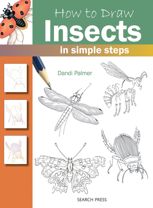 How to Draw Insects in Simple Steps | Independent Publishers Group