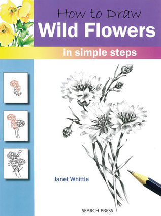 Wild flower drawing