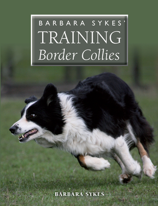border collie training school