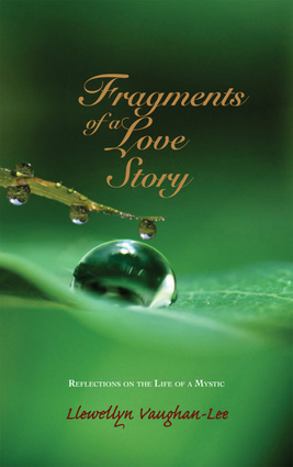Fragments of a Love Story