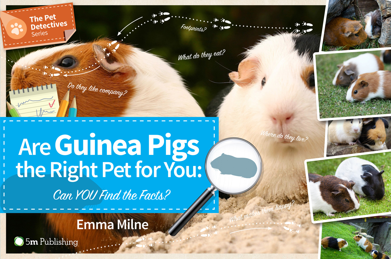 Are Guinea Pigs the Right Pet For You