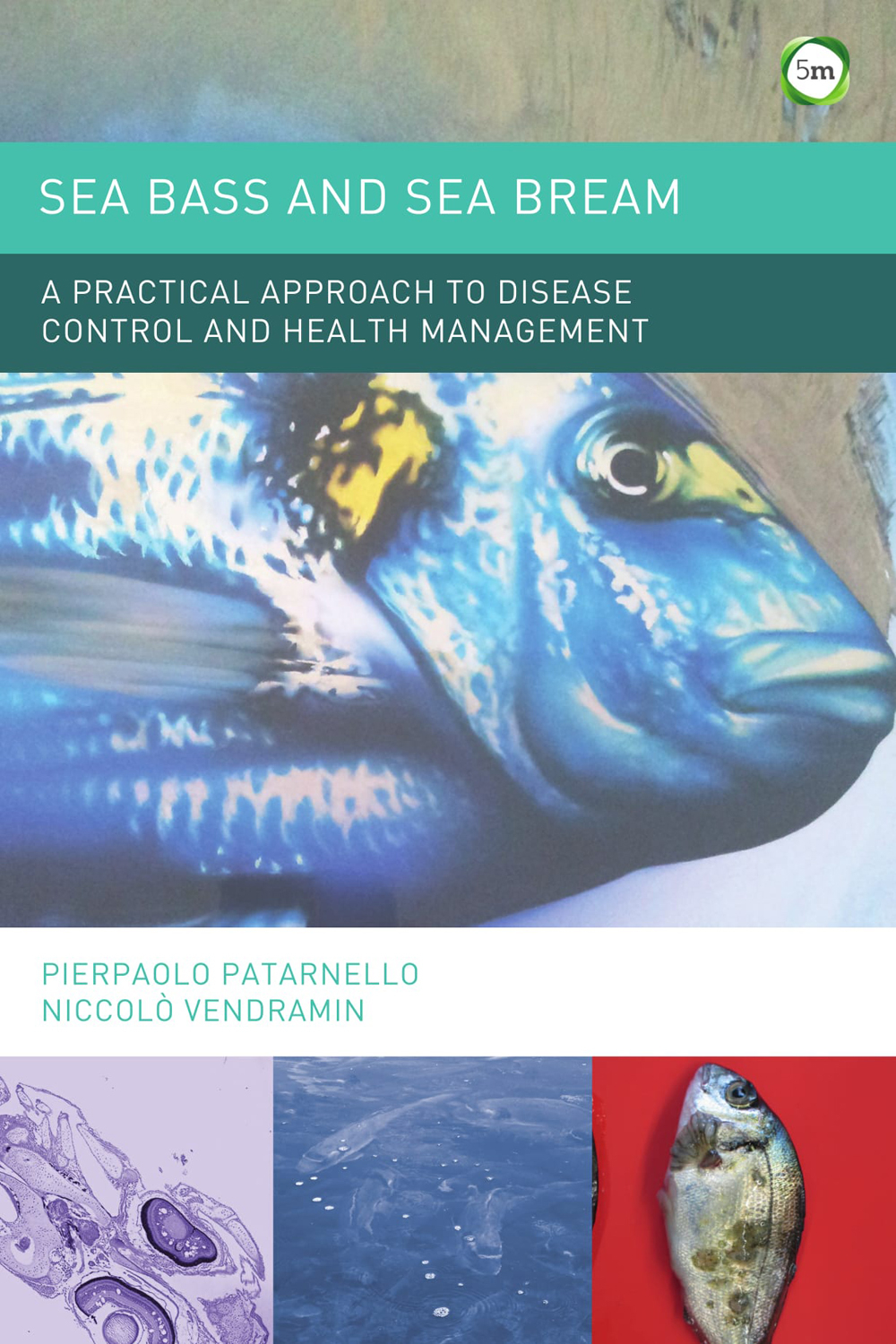 Sea Bass and Sea Bream Independent Publishers Group