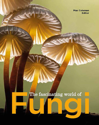 『 THE BOOK OF FUNGI 』世界きのこ大図鑑 オリジナル英語版 THE BOOK OF FUNGI 」世界きのこ大図鑑 オリジナル英語版